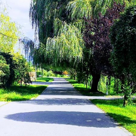 Arvalanyhaj Home Apartman Herceghalom Dış mekan fotoğraf