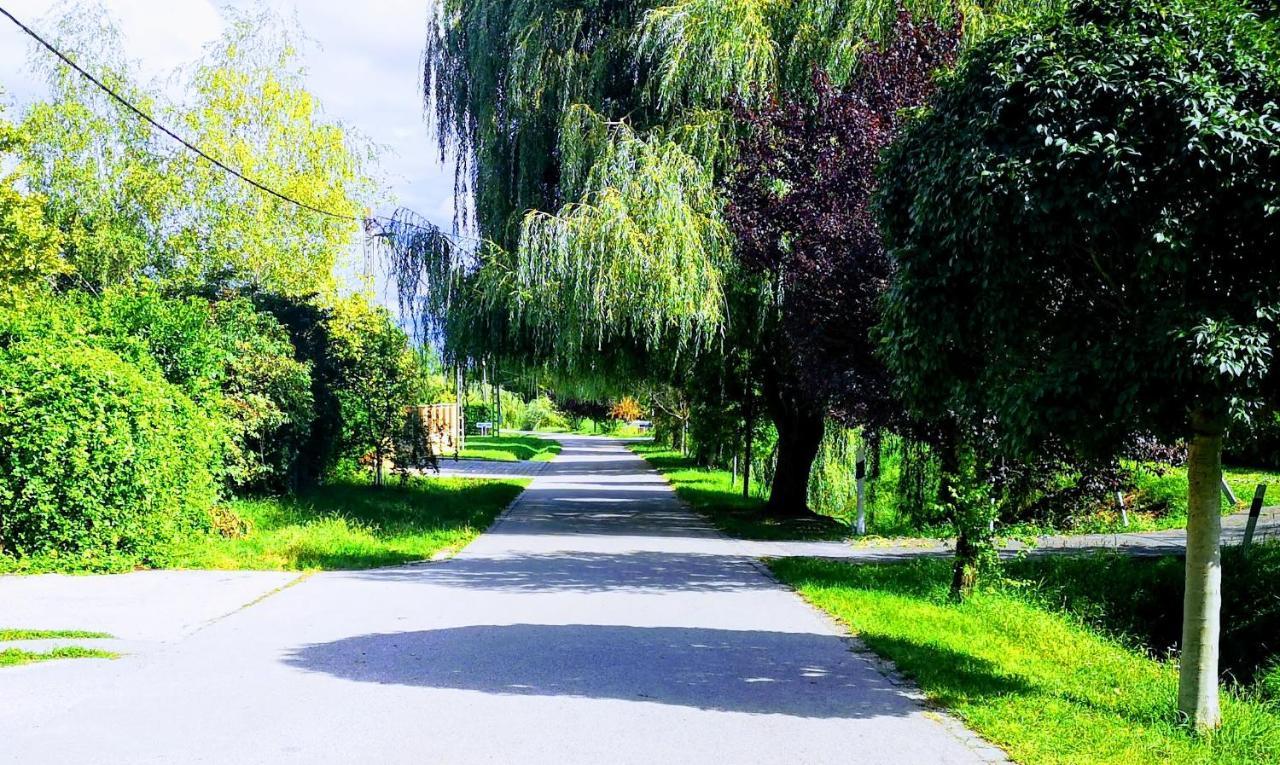 Arvalanyhaj Home Apartman Herceghalom Dış mekan fotoğraf