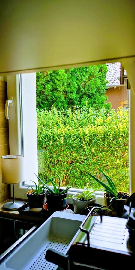 Arvalanyhaj Home Apartman Herceghalom Dış mekan fotoğraf